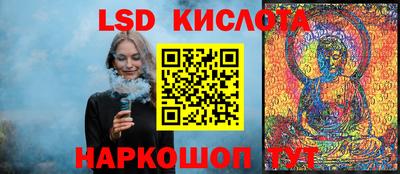 a pvp Свободный
