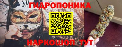 a pvp Свободный