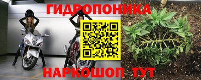 a pvp Свободный